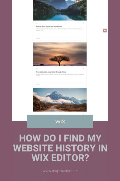 How do I find my website history in WiX Editor?